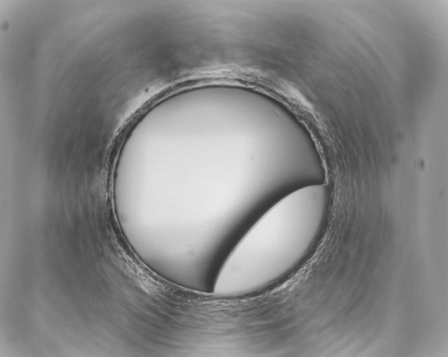 X0000086991216200704161144