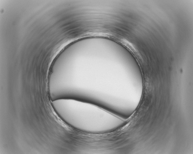 X0000086991236200704161145