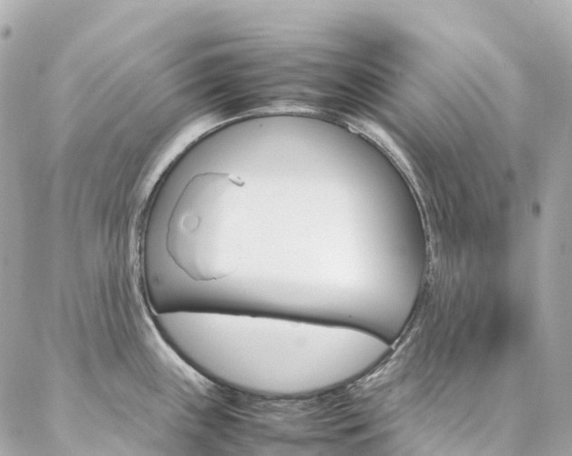 X0000086991243200704161145