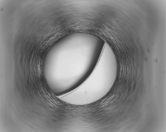 X0000086991250200704161144