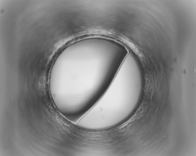 X0000086991264200704161144