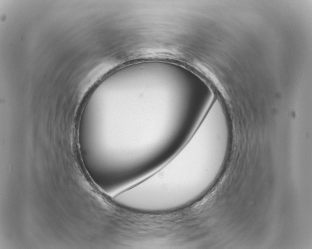 X0000086991277200704161144