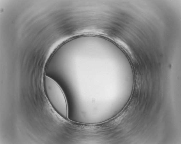 X0000086991288200704161143
