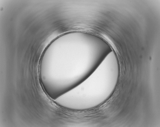 X0000086991291200704161143
