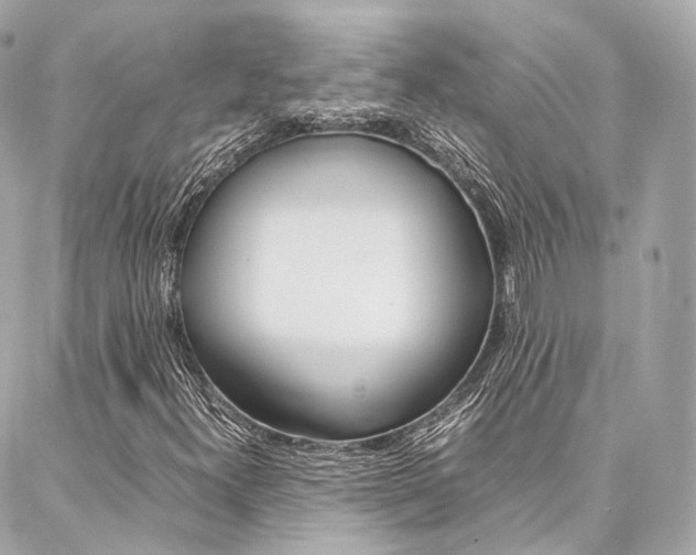 X0000086991300200704161143