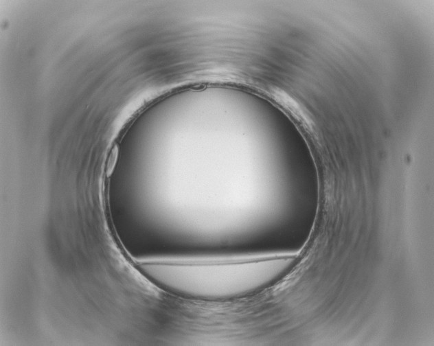 X0000086991334200704161143