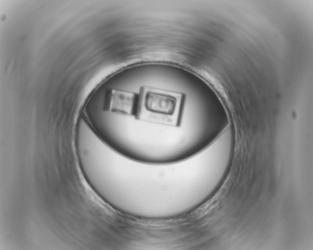 X0000086991342200704161143