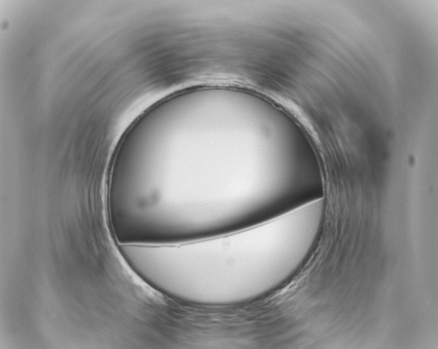 X0000086991343200704161143