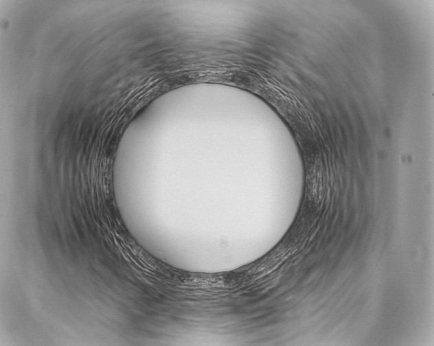 X0000086991346200704161143