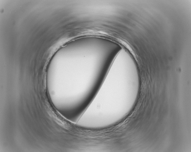 X0000086991371200704161142