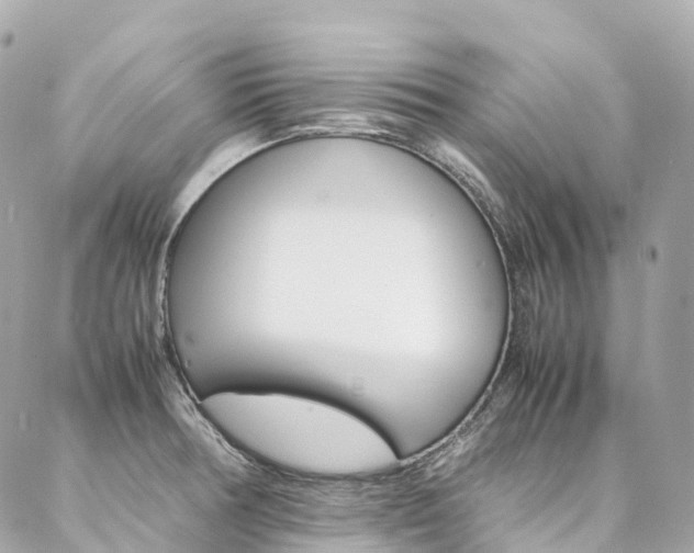 X0000086991378200704161142