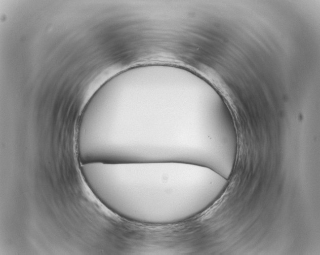 X0000086991390200704161142