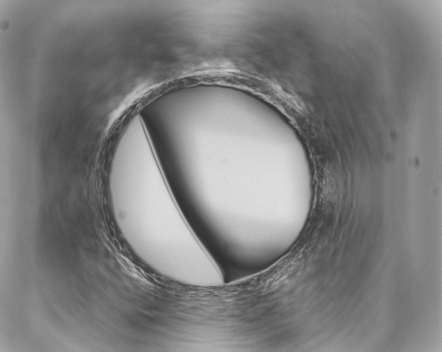 X0000086991400200704161141