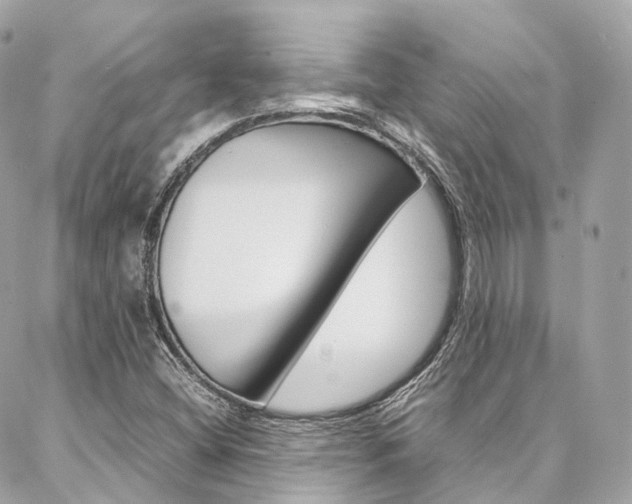 X0000086991404200704161141