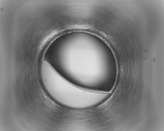 X0000086991406200704161141