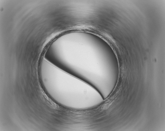 X0000086991412200704161141