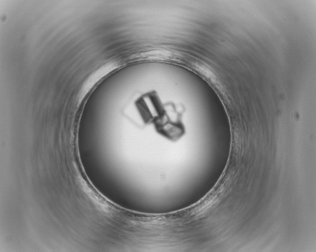 X0000086991426200704161141