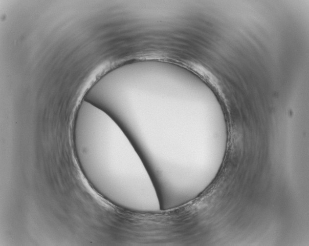 X0000086991429200704161142