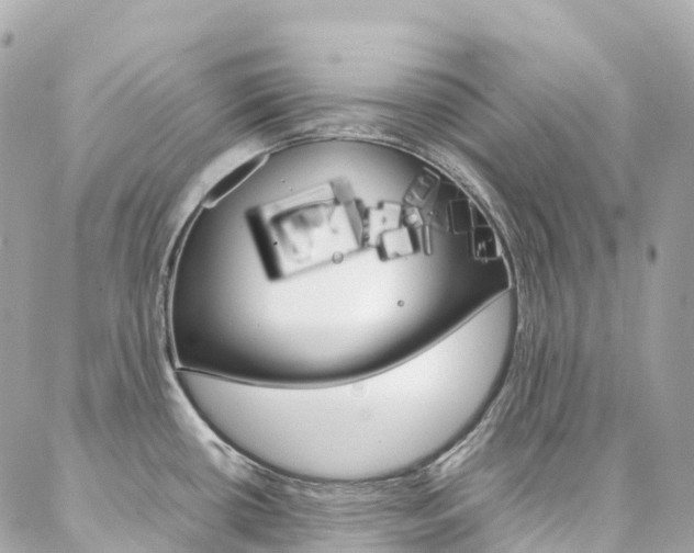 X0000086991434200704161142