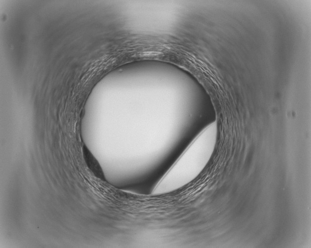 X0000086991441200704161141