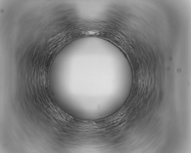 X0000086991442200704161141