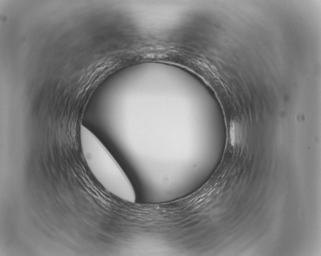 X0000086991444200704161141