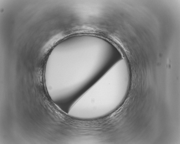 X0000086991455200704161141