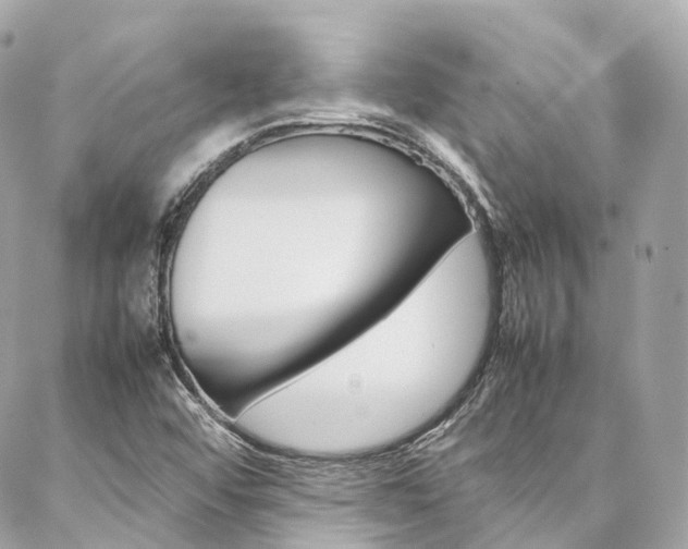 X0000086991456200704161141