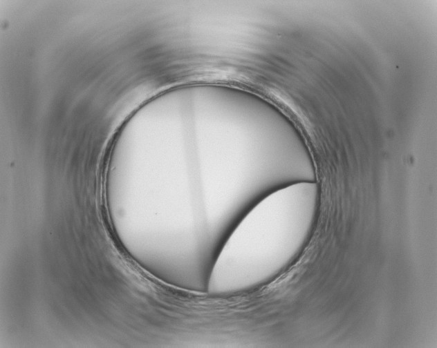 X0000086991467200704161140