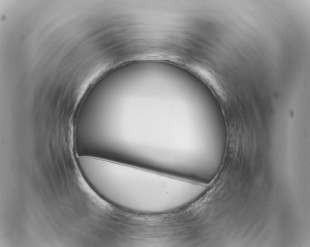 X0000086991476200704161140