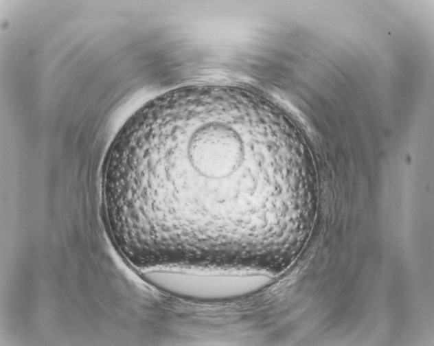 X0000086991479200704161140
