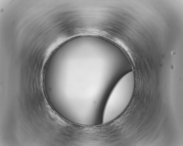 X0000086991480200704161140