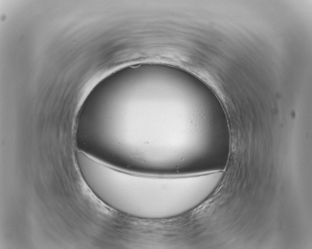 X0000086991532200704161140