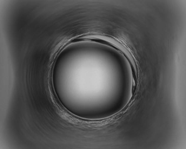 X0000086990001200704161514