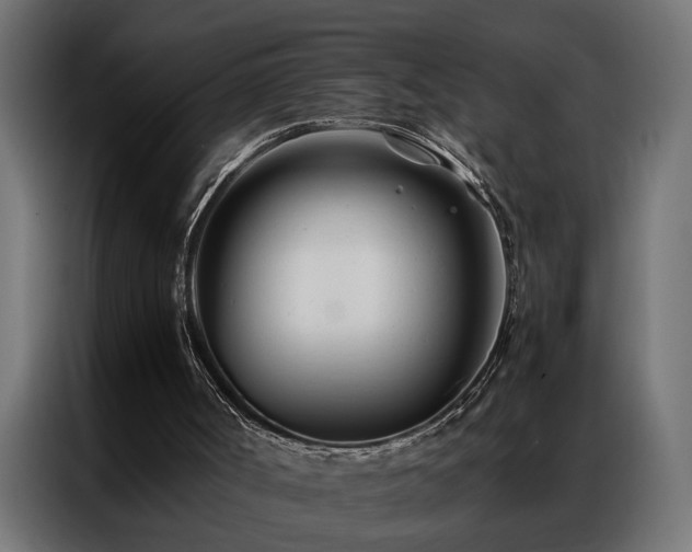 X0000086990002200704161514