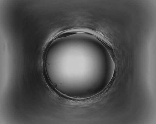 X0000086990005200704161514