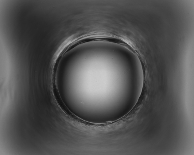 X0000086990007200704161514