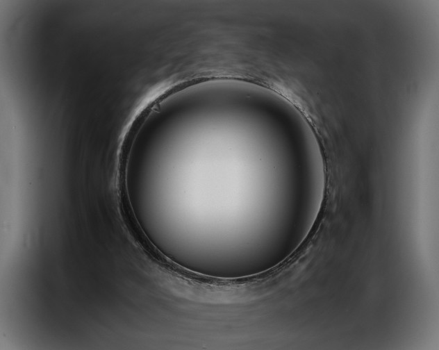 X0000086990008200704161514