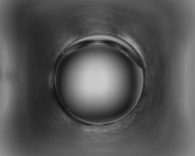 X0000086990009200704161514