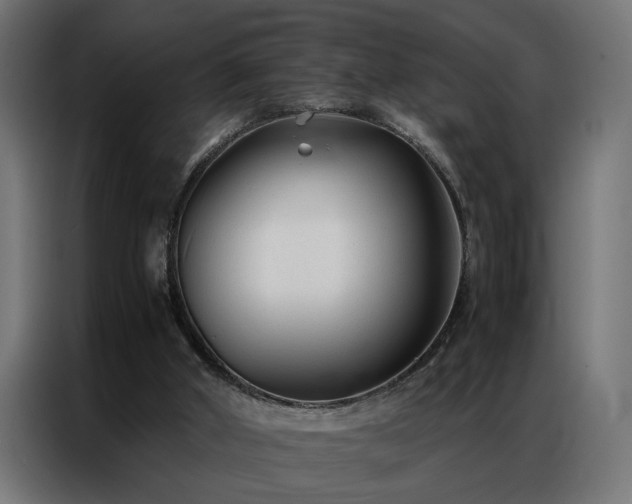 X0000086990010200704161514