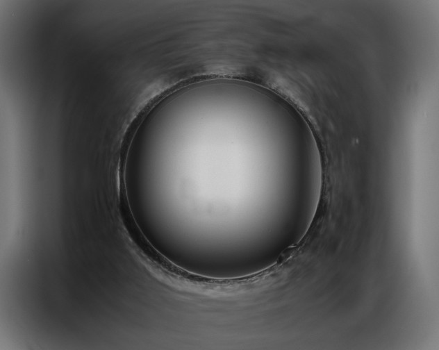 X0000086990011200704161514