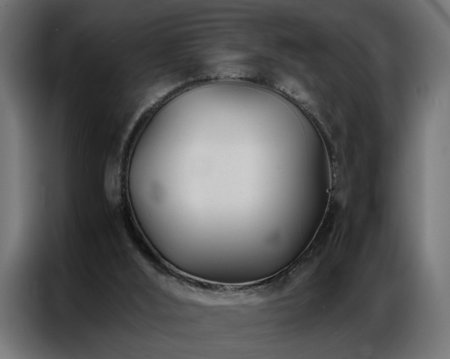 X0000086990012200704161514