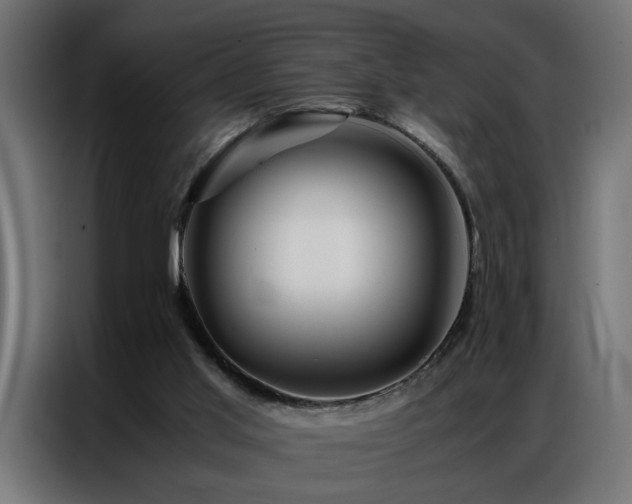 X0000086990013200704161514