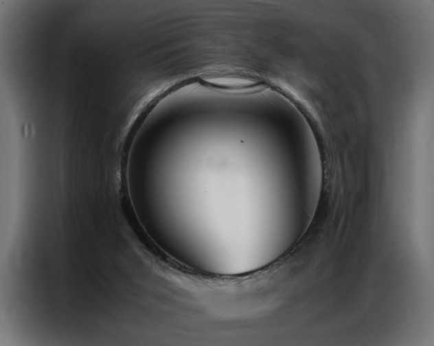 X0000086990015200704161514