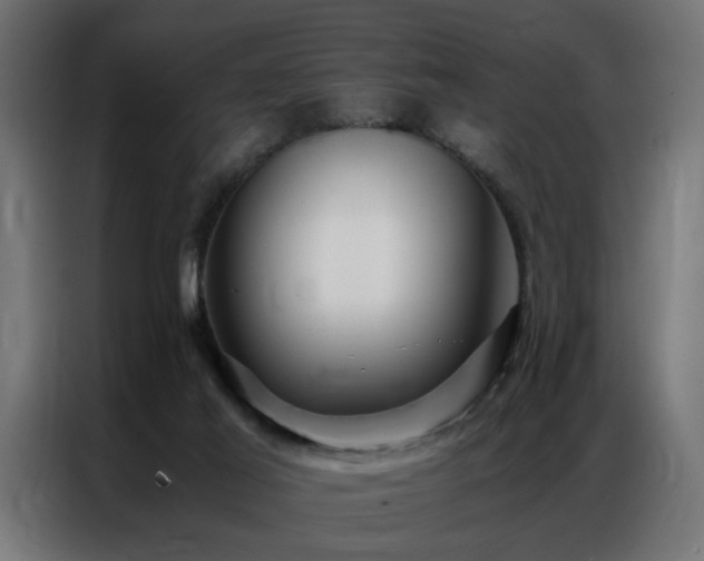 X0000086990021200704161514