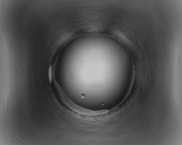 X0000086990022200704161514