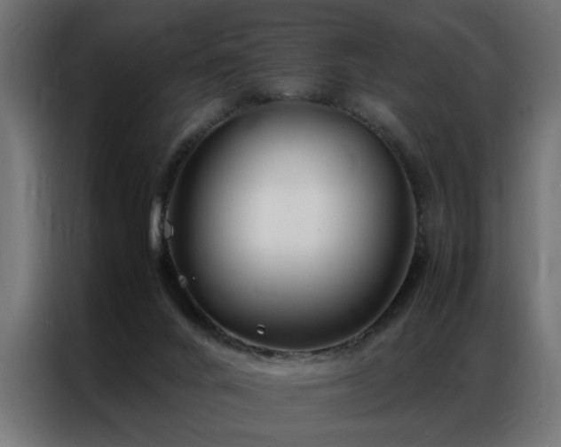 X0000086990024200704161514