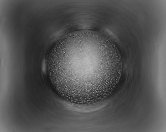 X0000086990026200704161514