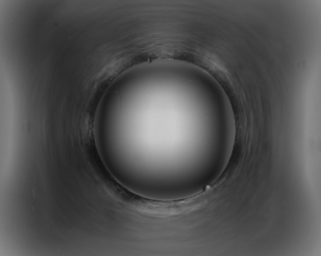 X0000086990029200704161514