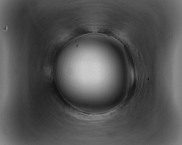 X0000086990031200704161514